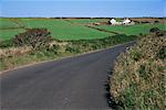Penwith farm landscape and road near Lanyon Quoit, Cornwall, England, United Kingdom, Europe