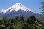 Mont Osorno, un volcan à Vicente Rosales National Park, Lake District, au Chili, en Amérique du Sud