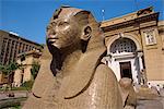 Sphinx en dehors du Musée égyptien, le Caire, en Égypte, en Afrique du Nord, Afrique