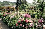 Garden, Monet's house, Giverny, Haute Normandie (Normandy), France, Europe