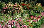 Monet's garden, Giverny, Haute Normandie, France, Europe