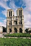 Notre Dame de Paris, Ile de la cité, Paris, France, Europe