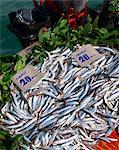 Fish for sale in Istanbul, Turkey, Europe