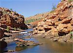 Heron sur les rochers centrales Bell Creek Gorge, dessous main tombe, Kimberley, Australie-occidentale, Australie