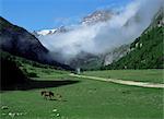 Blick nach Süden Piano della Gardosa Tal mit Feldweg in Richtung Mount Vettore, Monti Sibillini Nationalpark, Marche, Italien, Europa