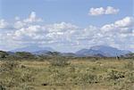 Blick nach Norden im Buschland Samburu, Kenia, Ostafrika, Afrika
