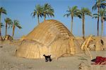 Traditional mud huts, Baluchistan, Iran, Middle East