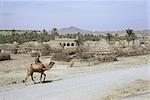 Dorf in Belutschistan, Iran, Naher Osten