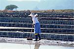 Salt production, Mauritius, Indian Ocean, Africa