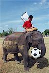 Éléphant jouant au football pendant le Festival de Round-up éléphant de novembre à la ville de Surin (Thaïlande), l'Asie du sud-est, Asie