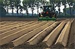 Agriculteur labourant les champs, Wolphaartsdijk, Zeeland, Pays-Bas