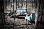 Vintage Living Room Furniture in a Forest