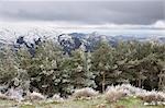 Sierra Nevada, Andalucia, Spain