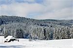 Schwarzwald im Winter, nahe Schoenwald, Baden-Württemberg, Deutschland