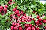 Close-up of Radishes at Farmer's Market