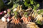 Carottes et navets au marché fermier