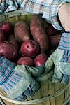 Person with container of potatoes