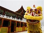 Chinese lion dance in front of temple
