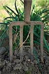 Gardening fork, close-up