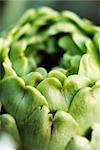 Artichoke, extreme close-up