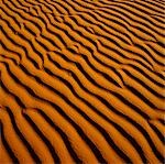 Ripples in Desert Sand