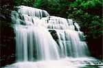 Waterfall, Victoria, Australia