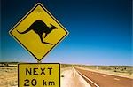 Kangourou traversant le signe, l'Outback australien, Australie