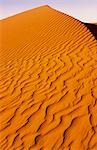 Sand Dune, Simpson Desert, Australia