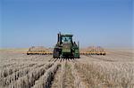 Weizen säen, Traktor zieht Seed Drill, Australien