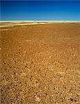 Cracked Earth, Dry Lake Bed, Australia