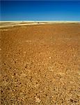 Cracked Earth, Dry Lake Bed, Australia