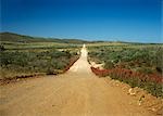 Gravel Road, Gammon Ranges, Flinders Ranges National Park, South Australia, Australia