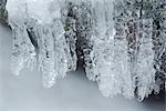 Close-up of Icicles