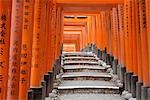 Portes Torii, Fushimi Inari Taisha, Fushimi, Kyoto, préfecture de Kyōto, Kansai, Honshu, Japon