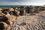 Plage de rochers, Grand Bahama Island, Bahamas