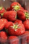 Strawberries in Punnet