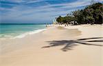 The shadow of a palm tree on the beach and emerald sea Guardalavaca Beach, Guardalavaca, Cuba, West Indies, Central America