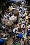 Shelda vegetable market, Kolkata (Calcutta), India, Asia