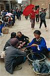 Indigo en vente sur le marché près de Sandu, Guizhou, Chine, Asie