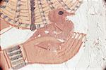 Wall painting of bird in hand in the tomb of Nakht, Minister of Agriculture in the reign of Tutmosis IV, Valley of the Nobles, Thebes, UNESCO World Heritage Site, Egypt, North Africa, Africa