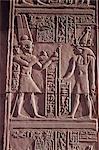 Ptolemäische Flachrelief des Gottes unter der Leitung von Falke vorgelegten Horus mit Opfergaben, Tempel des Sobek und Haroeris, Kom Ombo, Ägypten, Nordafrika, Afrika