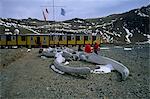 Die polnischen Arctowski Base, King George Island, South Shetland Islands, Antarktis, Polarregionen