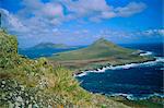 Steeple Jason, une des îles plus éloignées, West Falkland îles