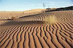 Désert du Sahara, Algérie, Afrique du Nord, Afrique