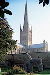 Norman cathedral, dating from 11th century, with 15th century spire, and hostry remains in foreground, Norwich, Norfolk, England, United Kingdom, Europe