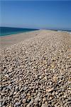 Chesil Bank, Dorset, England, United Kingdom, Europe