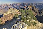 Le Parc National du Grand Canyon, l'UNESCO World Heritage Site, Arizona, États-Unis d'Amérique, l'Amérique du Nord