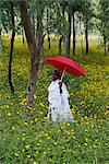 Femme éthiopienne tenir un parapluie rouge dans un champ fertile vert d'eucalyptus et de floraison jaune Meskel fleurs, The Ethiopian Highlands, Ethiopie, Afrique