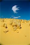 Die Pinnacle Desert, Nambung-Nationalpark in der Nähe von Perth, Western Australia, Australien