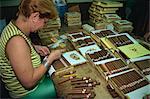 Partagas cigar factory, Havana, Cuba, West Indies, Caribbean, Central America